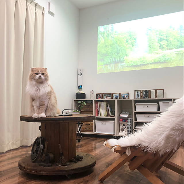 shiratamaさんの実例写真