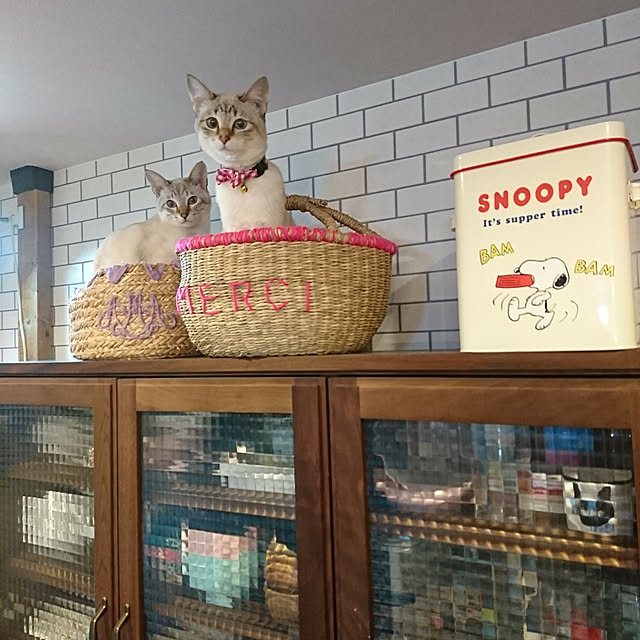 poniさんの実例写真