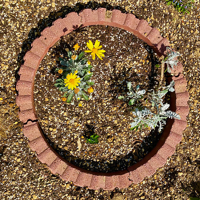 Fleur_さんの部屋