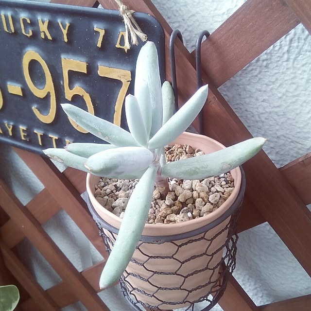 VERANDARJUNさんの実例写真