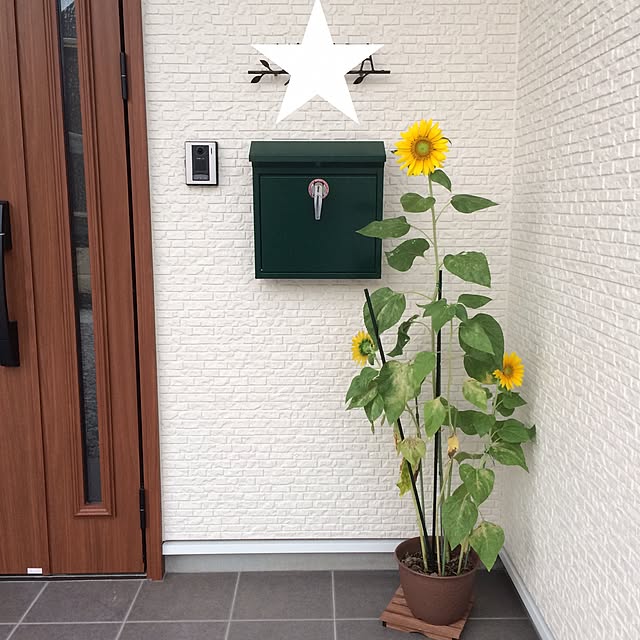 chippiさんの実例写真
