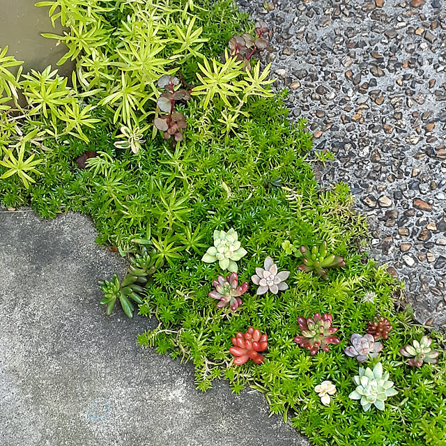 amtさんの実例写真