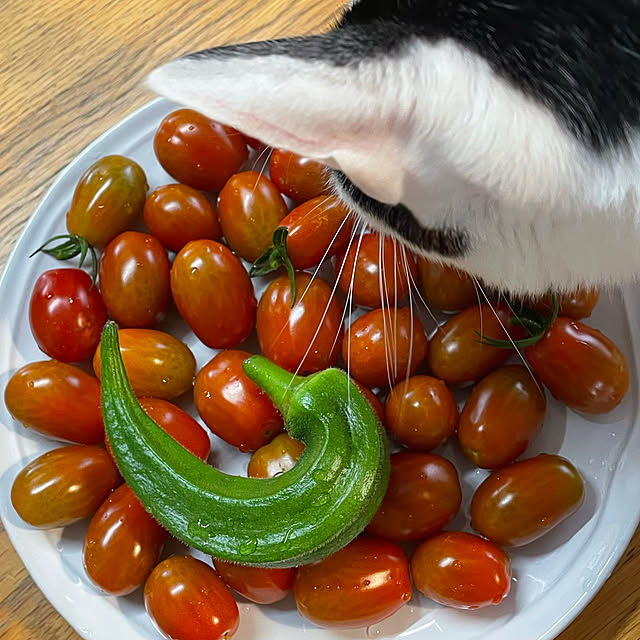 nobikoさんの実例写真