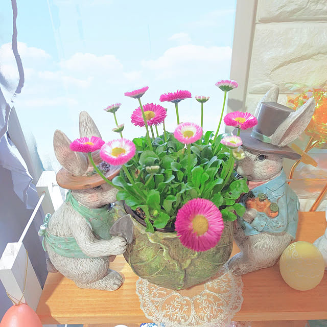 Miyumamaさんの実例写真