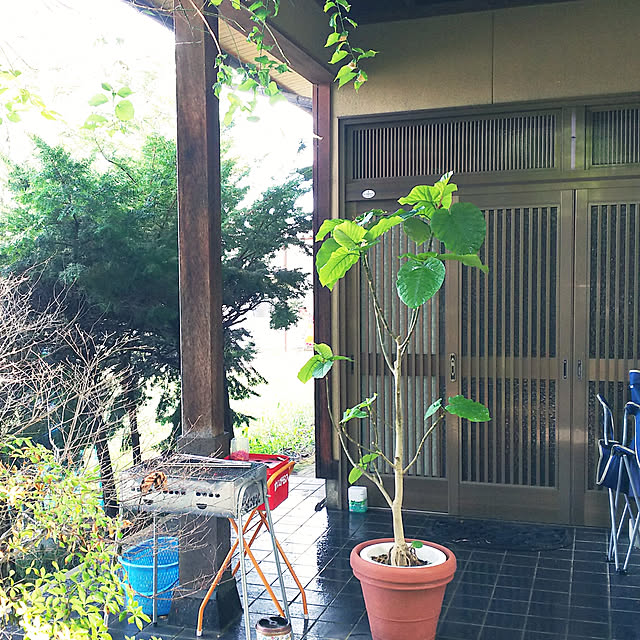 cherrycherryさんの実例写真