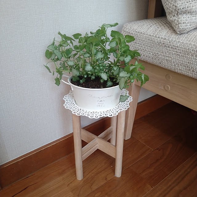 kazumamaさんの実例写真