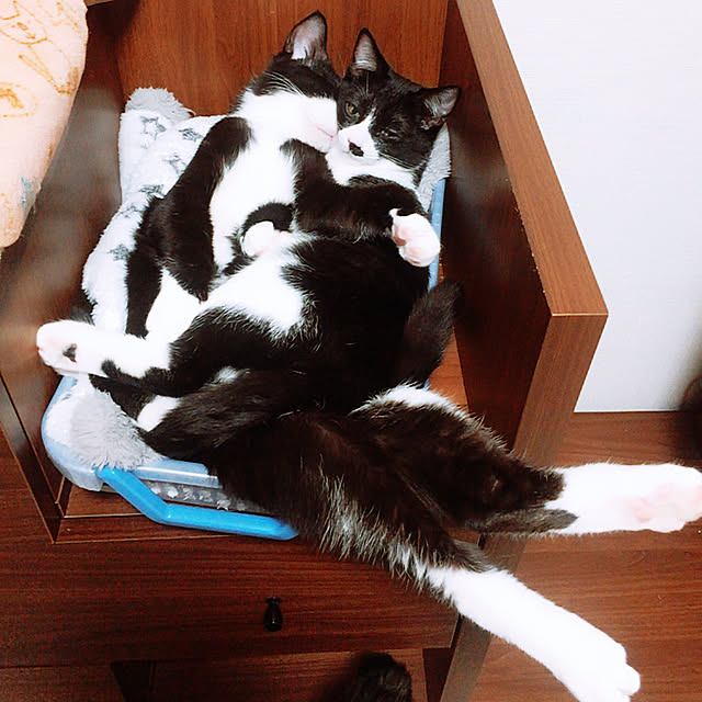 kirakirahikaru814さんの実例写真