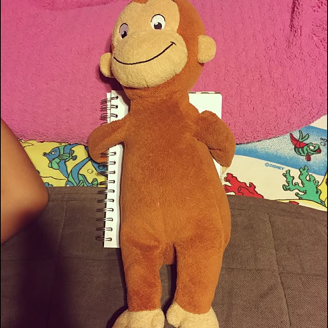 koto0321さんの実例写真