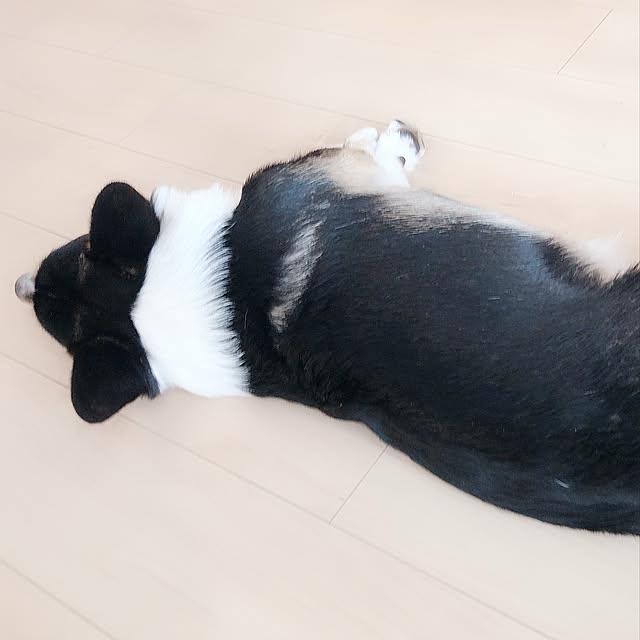 Ruiさんの実例写真