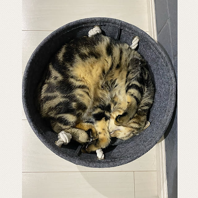 necomuraさんの実例写真