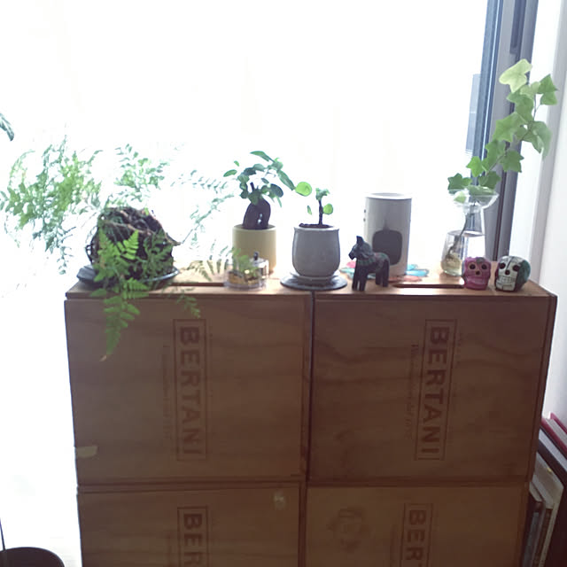juliskaさんの実例写真