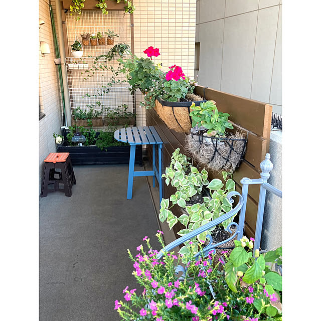 marukoさんの部屋