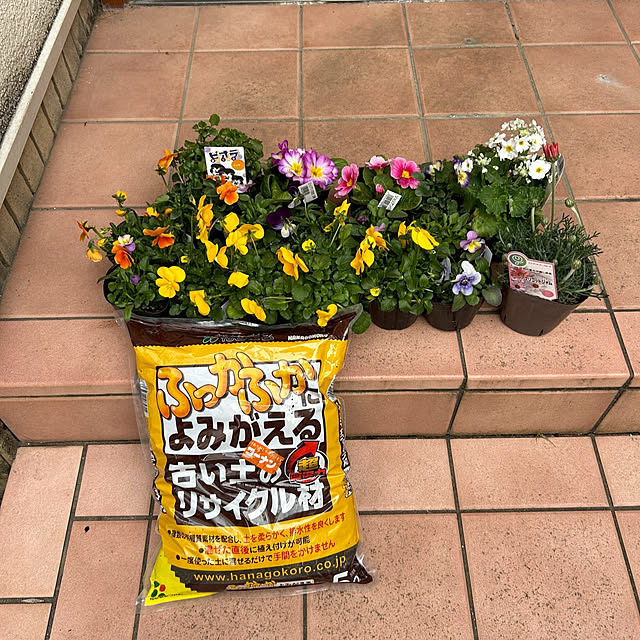 fumikoiさんの部屋