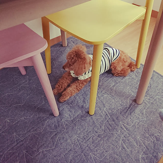 Miri.さんの実例写真