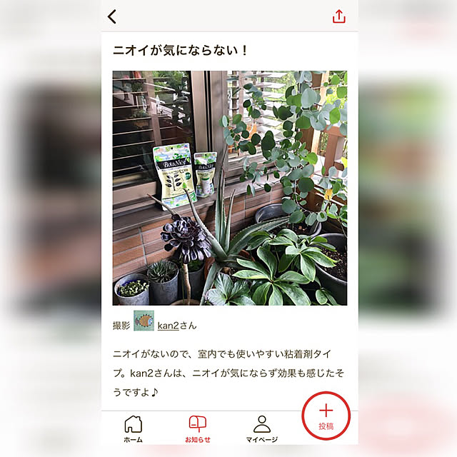 kan2さんの実例写真