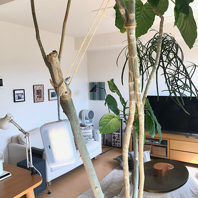 eriさんの実例写真