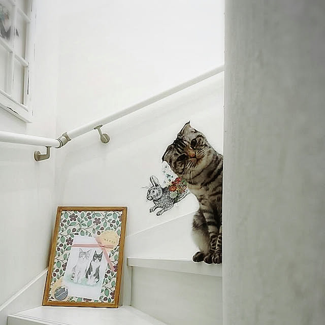 Gomaさんの実例写真