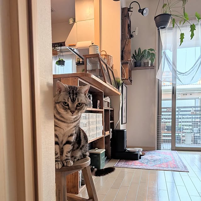 lovepeaceさんの実例写真