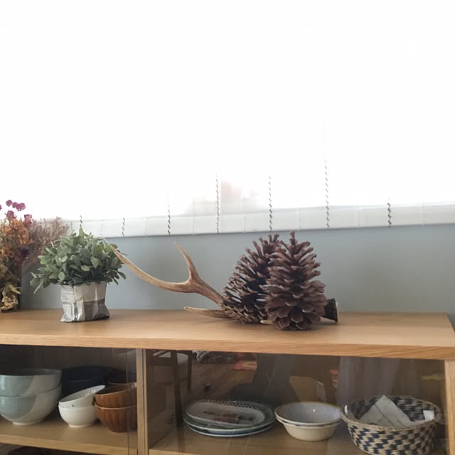 Emiさんの実例写真