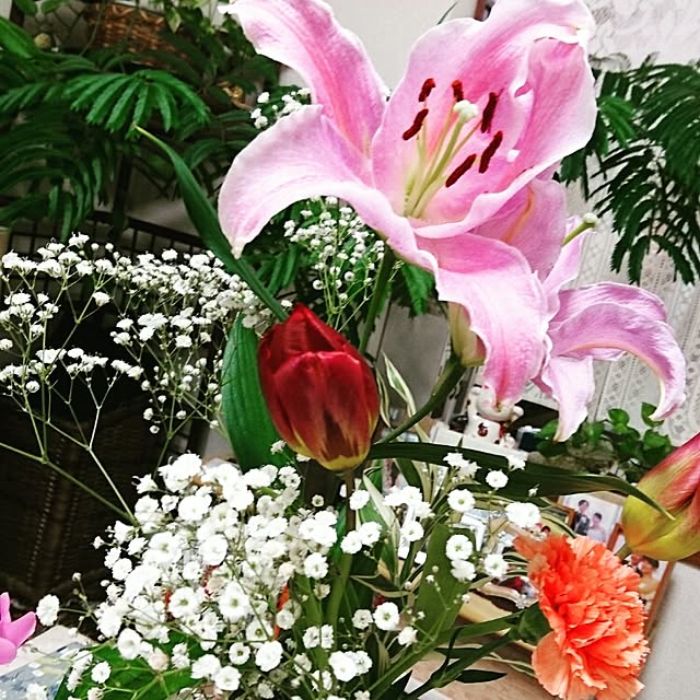 reirei4018さんの実例写真