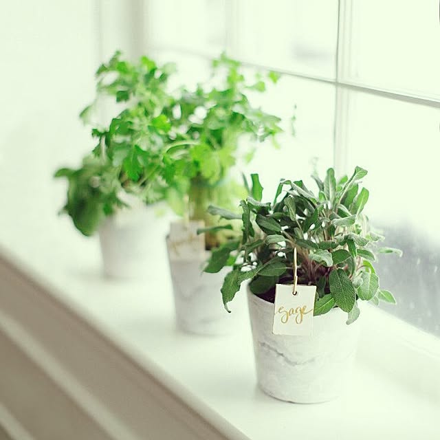 棚のインテリア実例 - 2015-08-03 11:49:11