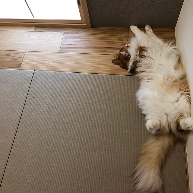 nami0703さんの実例写真