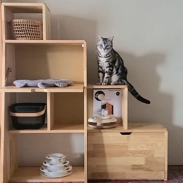 lovepeaceさんの実例写真