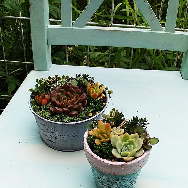 mi-tsuさんの部屋