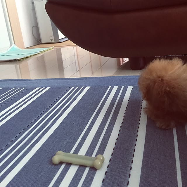 Naokoさんの実例写真
