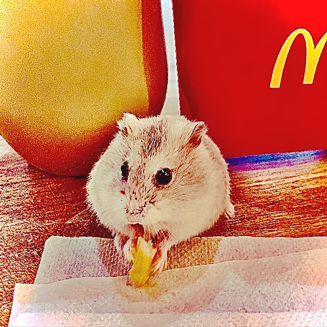 mi-yuさんの実例写真