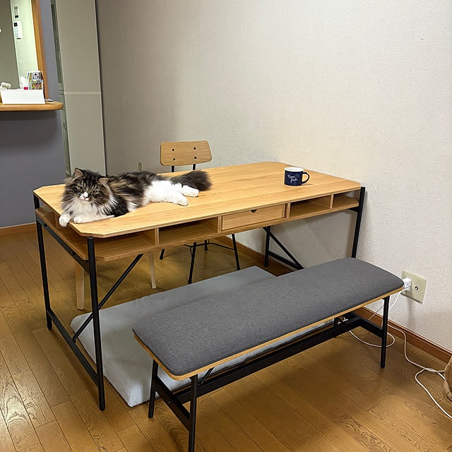 Tomoさんの実例写真