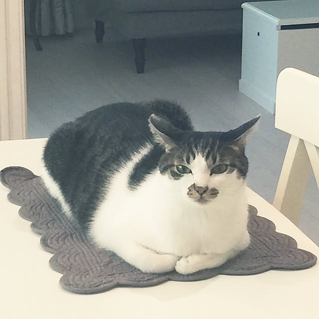 yuchiさんの実例写真