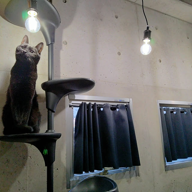 Kateさんの実例写真