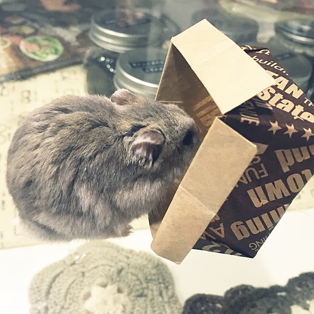 hamtaさんの実例写真