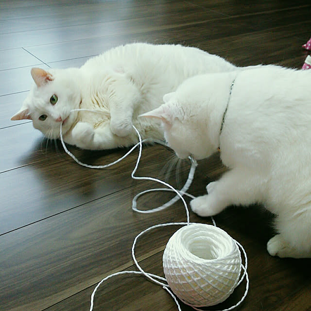 DrySourceさんの実例写真