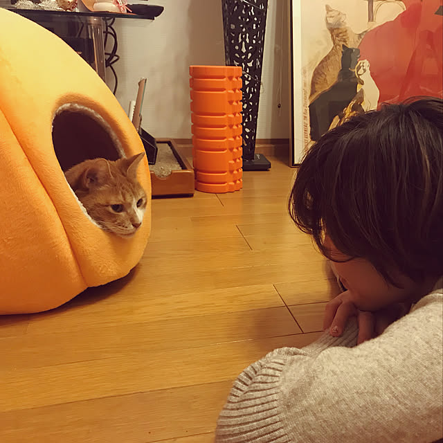 lavie0125さんの実例写真