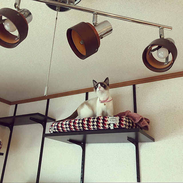 mayuさんの実例写真