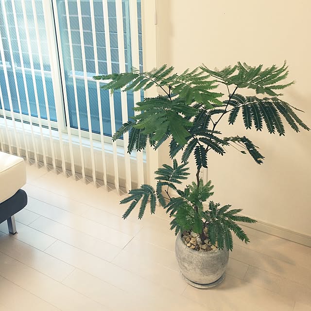 zukkoさんの実例写真