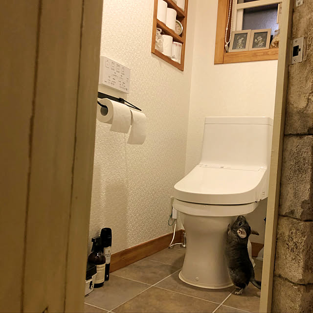 bambiさんの実例写真