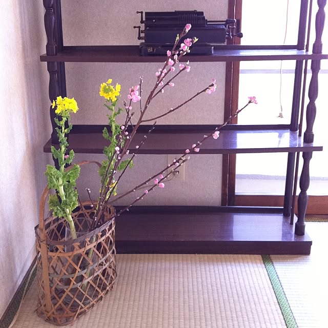 Keikoさんの実例写真
