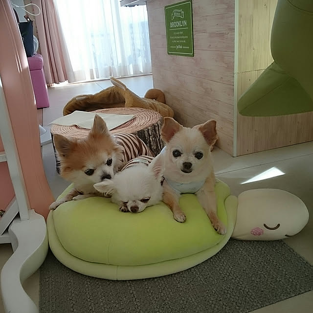 chibiさんの実例写真