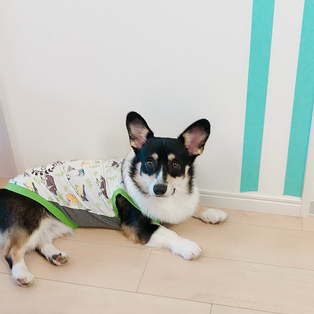 Ruiさんの実例写真