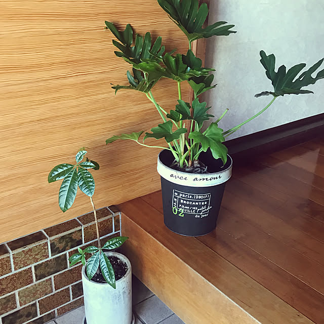 jukai8153さんの実例写真