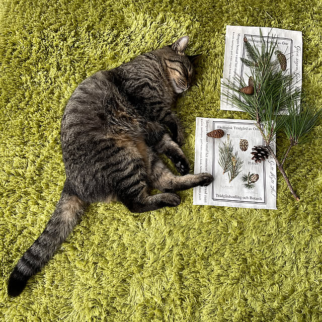 weさんの実例写真