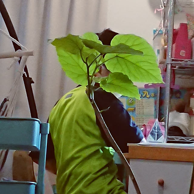renrinmamaさんの実例写真