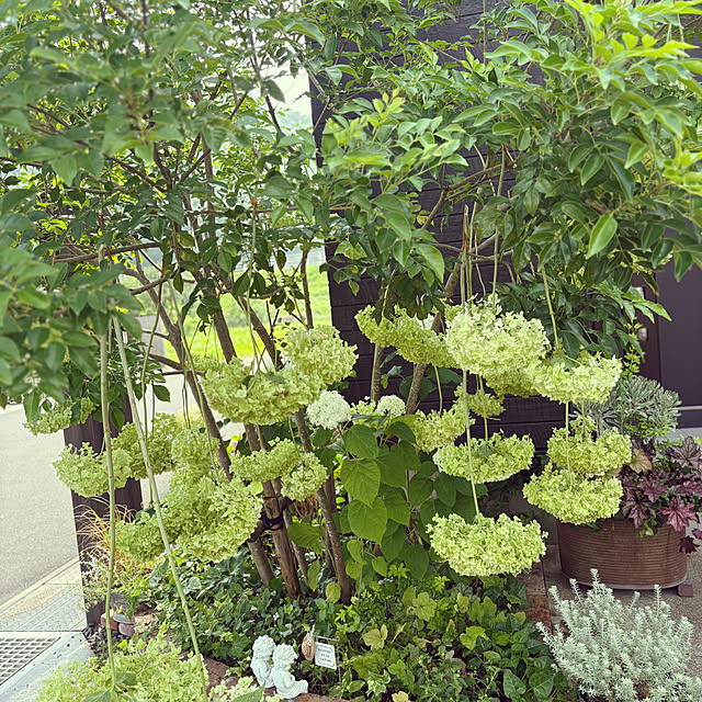 hanaさんの部屋