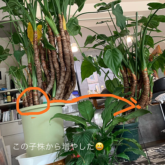 Aqettyさんの部屋