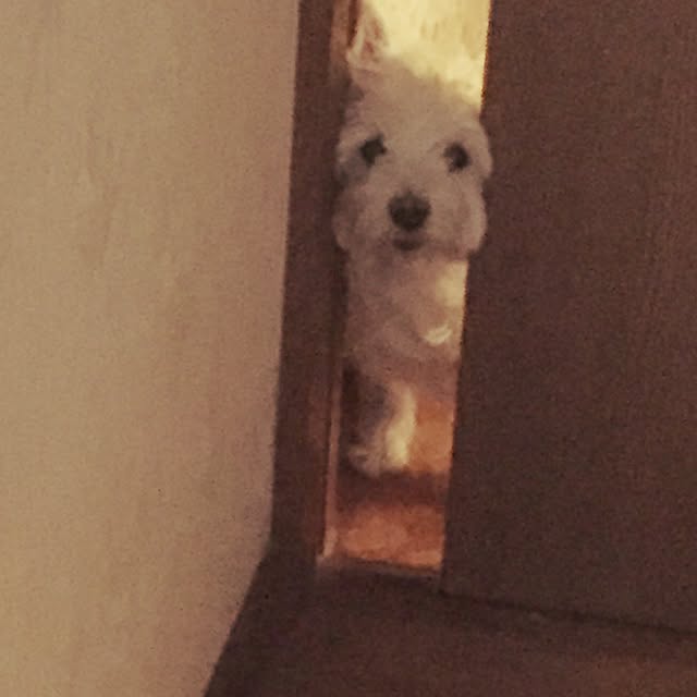 0314さんの実例写真