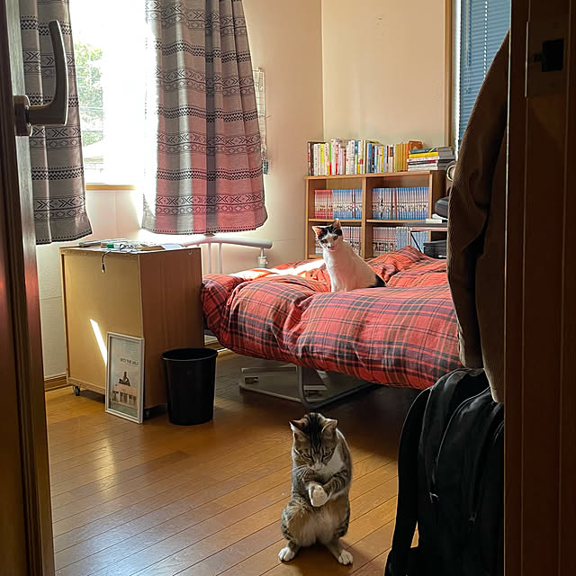 nobikoさんの実例写真