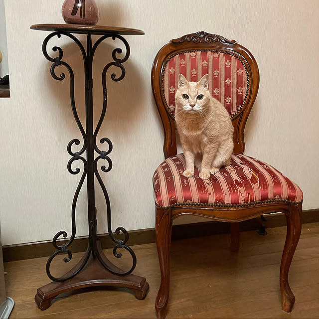 kurumiさんの実例写真